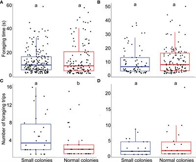 Resilience of bumblebee foraging behavior despite colony size reduction